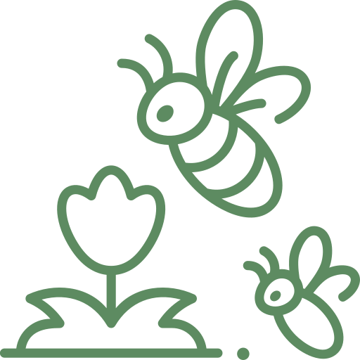 Abeilles sur une fleur